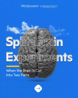 Split-Brain Experiments.pdf